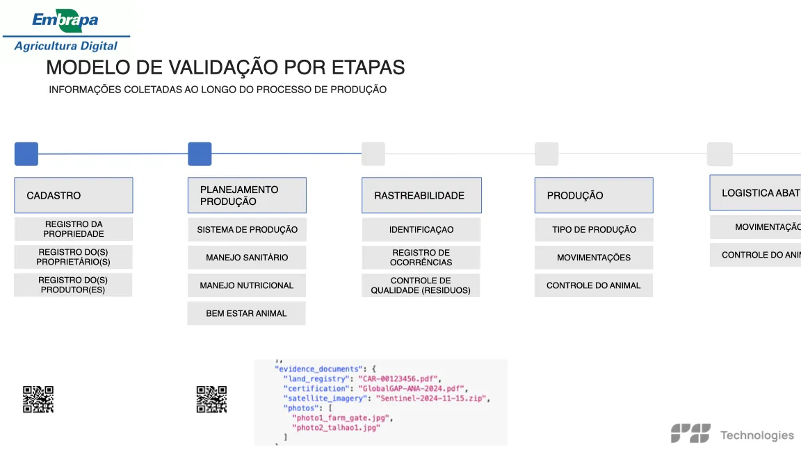 Cadeia produtiva da carne bovina mostrada por fases